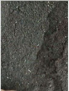 Vermicompost Fertilizer