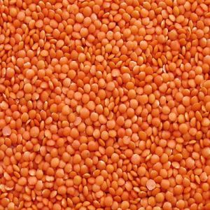 Masoor Dal