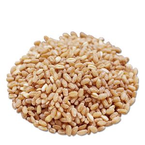 natural wheat seeds