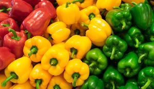 Fresh Bell Pepper