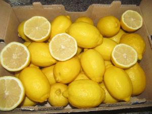 fresh Lemon