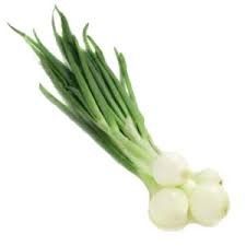 Fresh Spring Onion