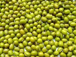 Mung Bean