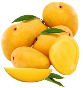 Fresh Alphonso Mango