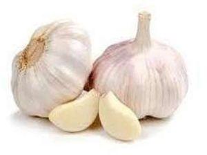 Fresh Garlic