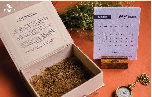 21 Fools Plantable Seed Paper Calendar - Mini kyaari