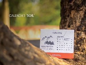 21 Fools Plantable Seed Paper Calendar - Soil