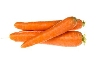 Fresh Carrot