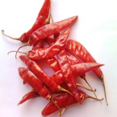 Dried Red Chilli