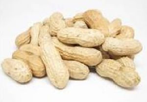 Shelled Peanuts