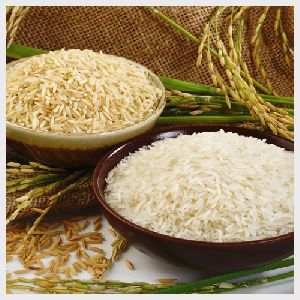 Basmati rice