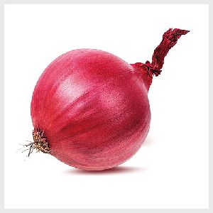 Onion