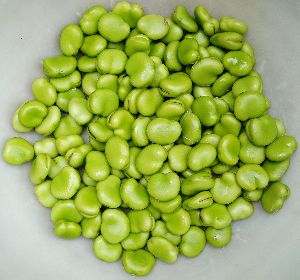 Broad Beans