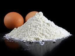 Min 25 KG to Max 1000KG Egg Shell Powder