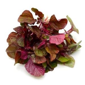 Amaranthus Leaves