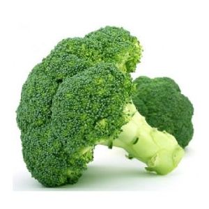 Fresh Broccoli