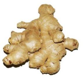 Fresh Ginger