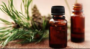 cedar leaf oil