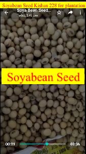 kishan 228 soya bean seed