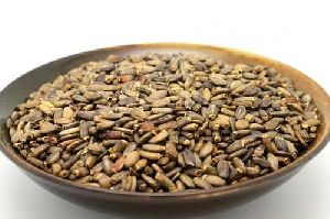 Milk Thistle Seeds