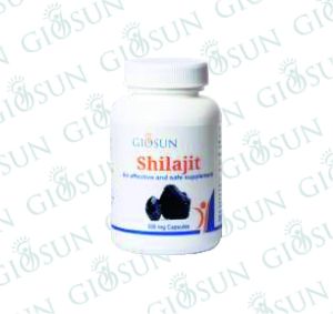 Shilajit 500 mg Capsules
