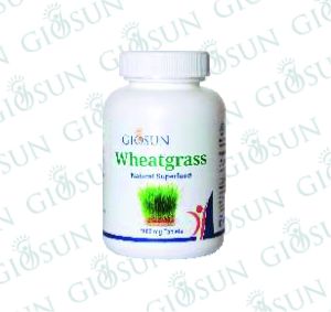 Ayurvedic Proprietary Medicine - Wheatgrass
