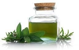 Mint Oil