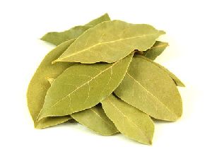 Bay Leaves