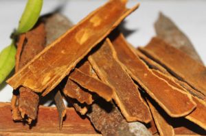 Cinnamon Stick