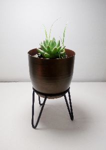 Mini planter