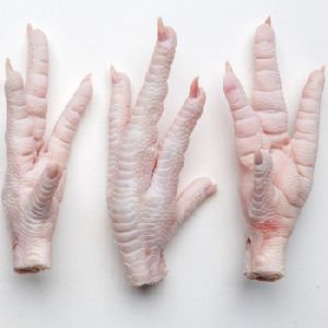 Frozen Chicken Paws