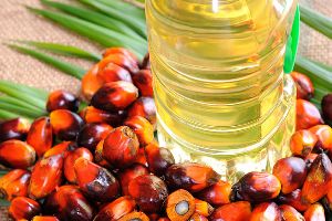 Palm Oil