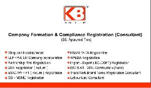 COMPANY REGISTRATION CONSULTANT