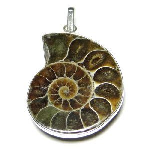 Natural Ammonite Pendant