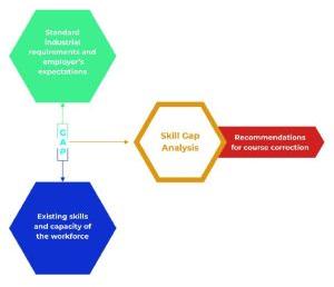 Skill Gap Analysis