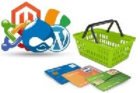 E Commerce website Development