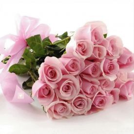 pink roses