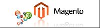 magento development