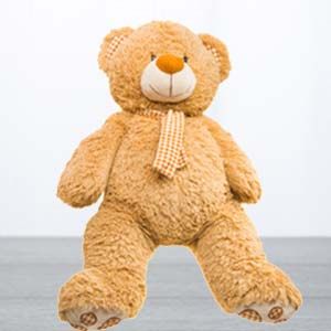 5 Feet Teddy Bear