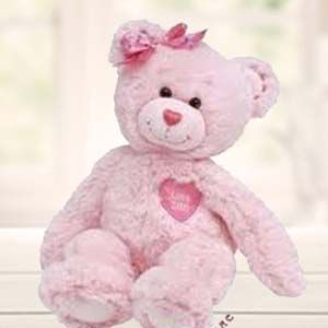 Pink Teddy Bear