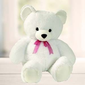 White Teddy Bear