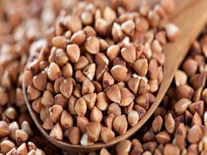 Buckwheat Seeds