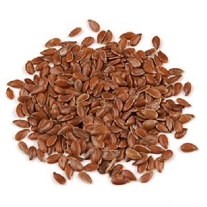 Flax Seeds