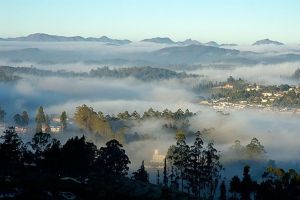 Honeymoon -4Nights 5 Days Ooty,Kodaikanal