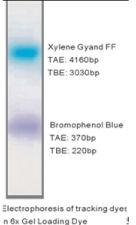 6X Gel Loading Dye