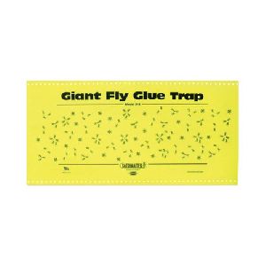 insect glue trap