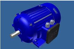 Variable Frequency Drive Motor