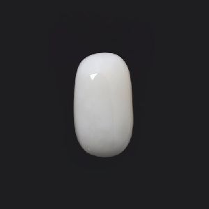 White Coral Stone