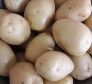 Fresh Jyoti Potato