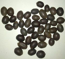 Natural Kamal Gatta Seeds
